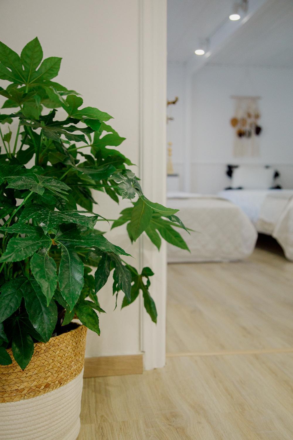 Yard- Family Retreat Apartment Corinth ภายนอก รูปภาพ