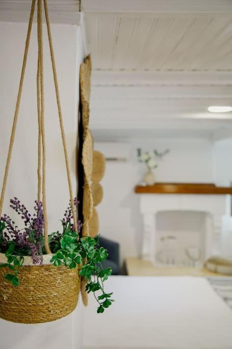 Yard- Family Retreat Apartment Corinth ภายนอก รูปภาพ
